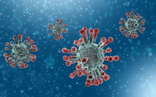 coronavirus mesures la voile blanche