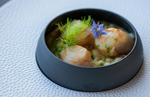 balthazar agence romane lesellier 14063