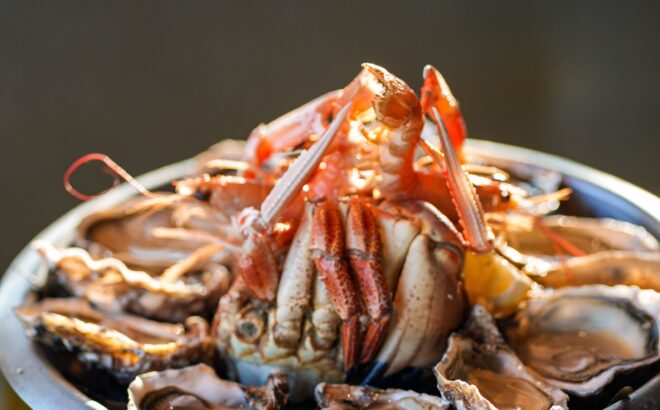 balthazar agence romane lesellier 14041