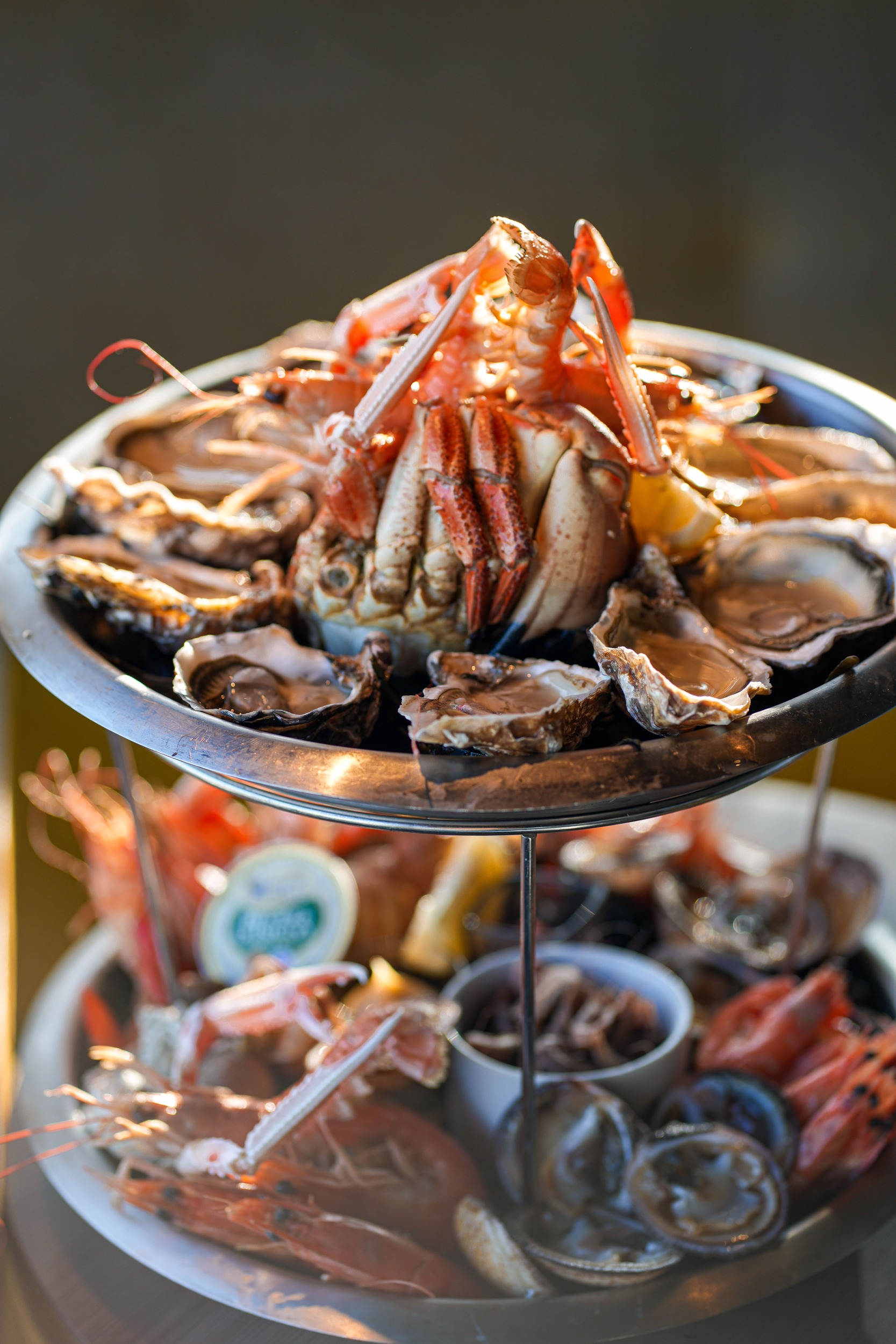 balthazar agence romane lesellier 14041