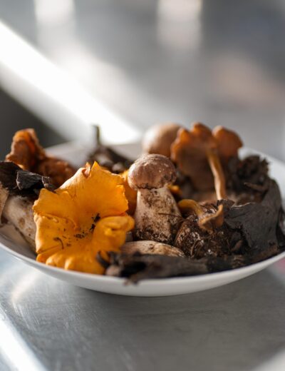 balthazar agence romane lesellier 14053